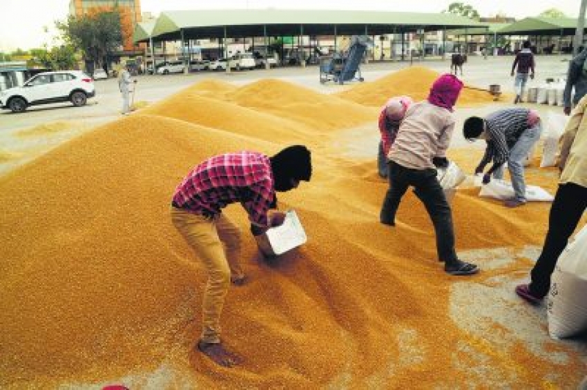 ਹਰੇਕ ਪਿੰਡ &rsquo;ਚ ਖਰੀਦ ਕੇਂਦਰ ਬਣਾਉਣ &rsquo;ਤੇ ਵਿਚਾਰ