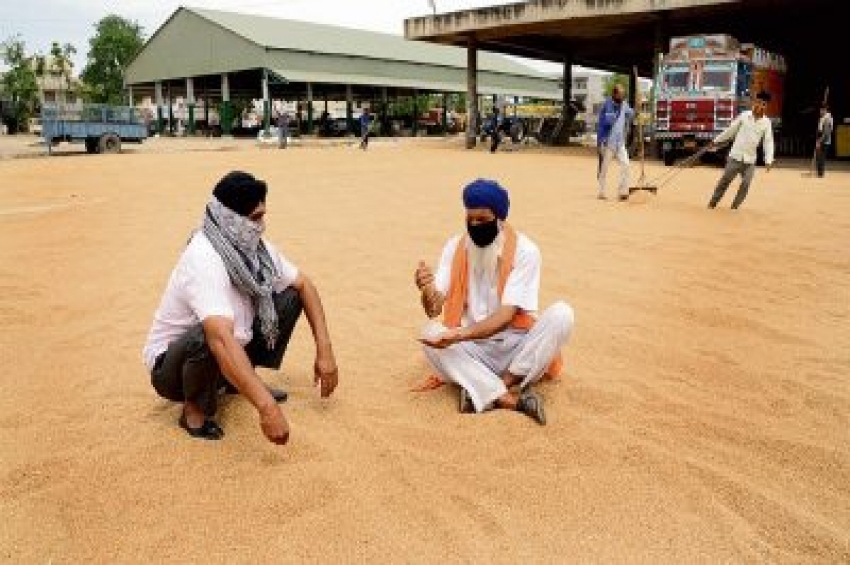 ਕਣਕ ਦੀ ਖ਼ਰੀਦ: ਕਰੋਨਾ ਦੇ ਡਰੋਂ ਵੱਡੇ ਅਫਸਰ ਮੰਡੀਆਂ ਵਿੱਚੋਂ &lsquo;ਆਊਟ&rsquo;